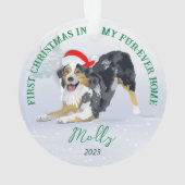 Aussie wear Weihnachtsmannmütze 2023 Ornament (Rückseite)