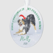 Aussie wear Weihnachtsmannmütze 2023 Ornament (Vorderseite)