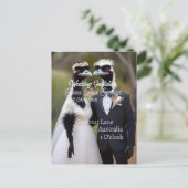 Aussie Wedding Australian Emus, Wedding Postkarte (Stehend Vorderseite)