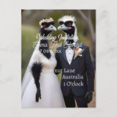 Aussie Wedding Australian Emus, Wedding Postkarte (Vorderseite)