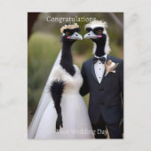 Aussie Wedding Australian Emus, Wedding Postkarte (Vorderseite)