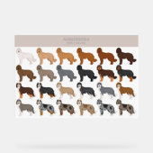 Aussiedoodle-Hundemischung Acrylschild (Vorderseite)
