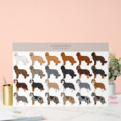 Aussiedoodle-Hundemischung Acrylschild (Hochzeit)