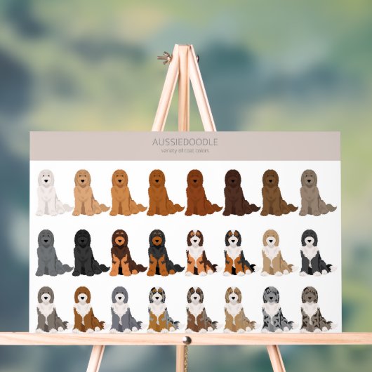 Aussiedoodle-Hundemischung Acrylschild (Neutral)