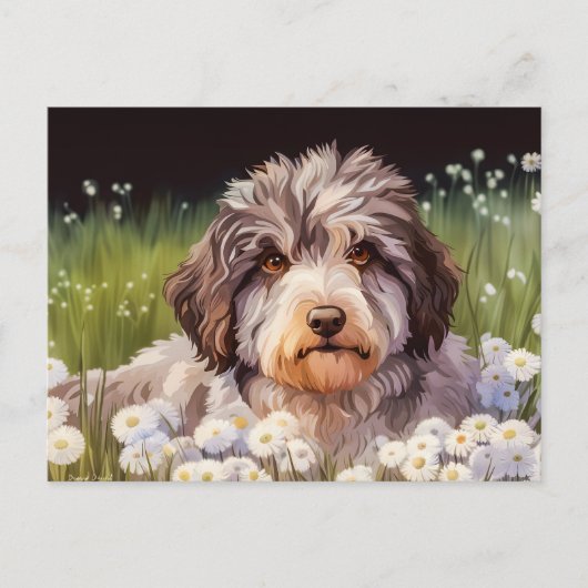 Aussiedoodle mit Gänseblümchen Postkarte (Vorderseite)