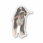 Aussiedoodle Sticker (Vorderseite)