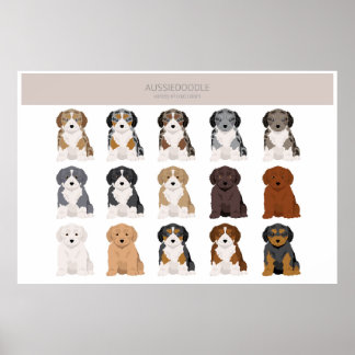 Aussiedoodle Welpe Fell Farben Poster