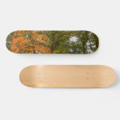 Ausstellen der Skateboard (Horizontal)