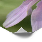 AUSSTELLUNG VON POSTER (Ecke)