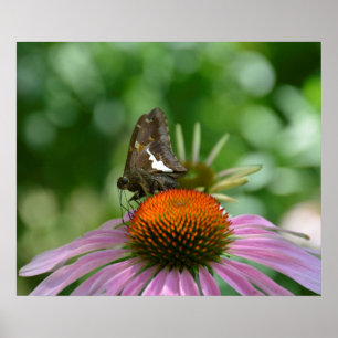 AUSSTELLUNG VON POSTER