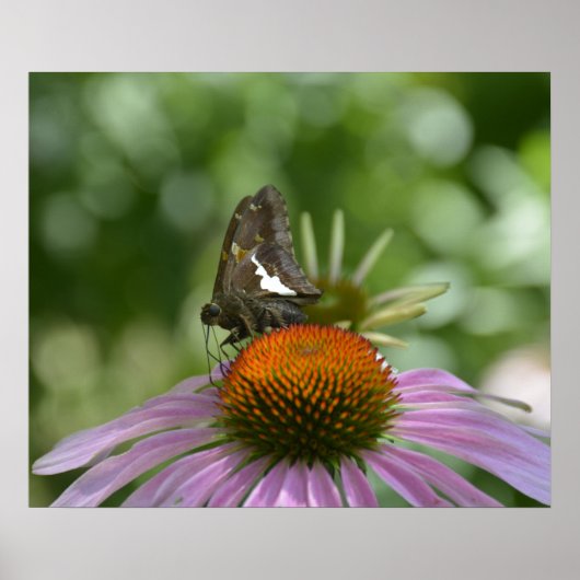 AUSSTELLUNG VON POSTER (Vorne)