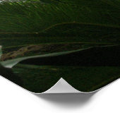 Ausstellung Zoo Rainforest Poster (Ecke)