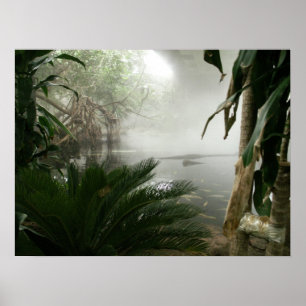 Ausstellung Zoo Rainforest Poster