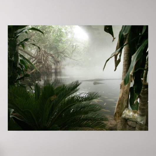 Ausstellung Zoo Rainforest Poster (Vorne)