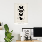 Ausstellungs-Kunstposter Charles dOrbigny Schmette Poster (Heimbüro)
