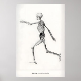 Ausstellungskunst Druck George Stubbs Menschliches Poster