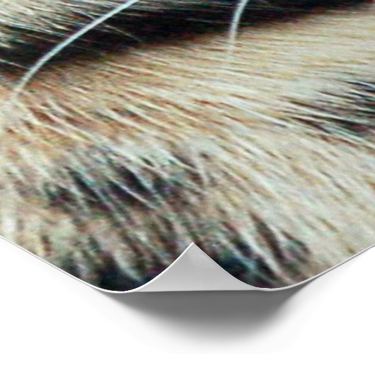 Aussterben Poster (Ecke)