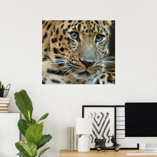 Aussterben Poster (Heimbüro)