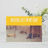 Ausstiegsankündigung (Mann und Hunde auf der Straß Ankündigung (Stehend Vorderseite)