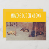 Ausstiegsankündigung (Mann und Hunde auf der Straß Ankündigung (Vorne/Hinten)