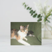 Austauschen Postkarte (Stehend Vorderseite)