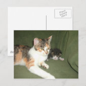 Austauschen Postkarte (Vorne/Hinten)