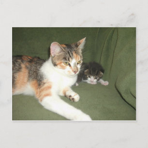 Austauschen Postkarte