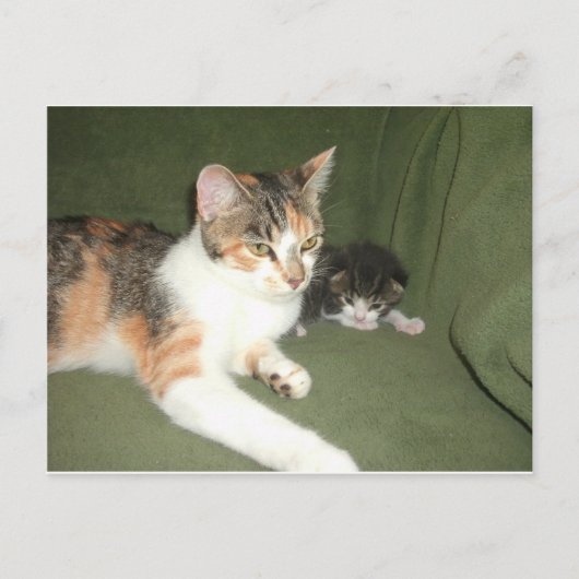 Austauschen Postkarte (Vorderseite)