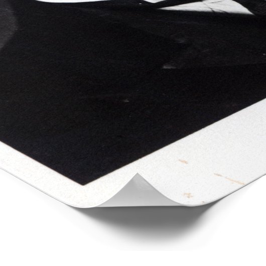 Austen Chamberlain Poster (Ecke)