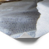 Austern auf Eis Poster (Ecke)