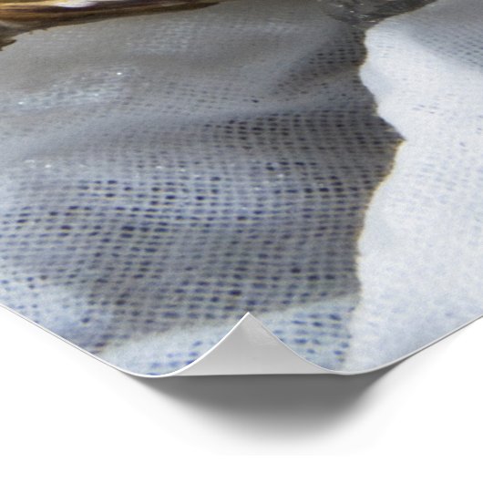 Austern auf Eis Poster (Ecke)