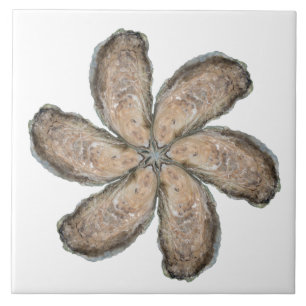 Austern-Blumen-Fliese - Weiß des Entwurfs-D Fliese