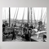 Austern entladen poster (Vorne)