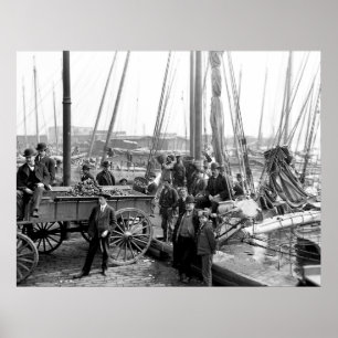 Austern entladen poster