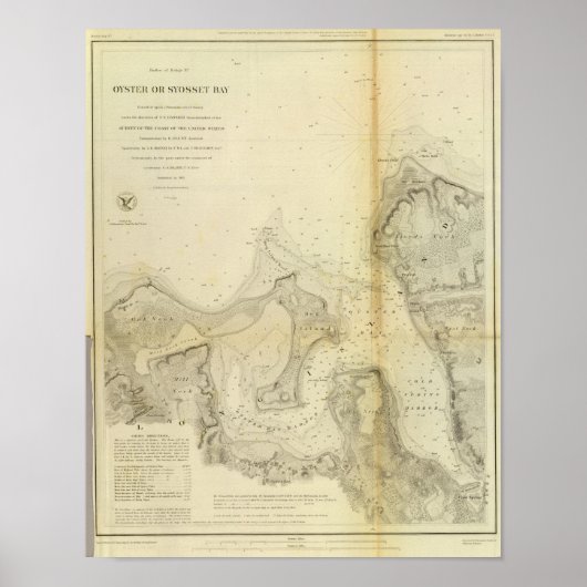 Austern oder Syosset Bay Poster (Vorne)