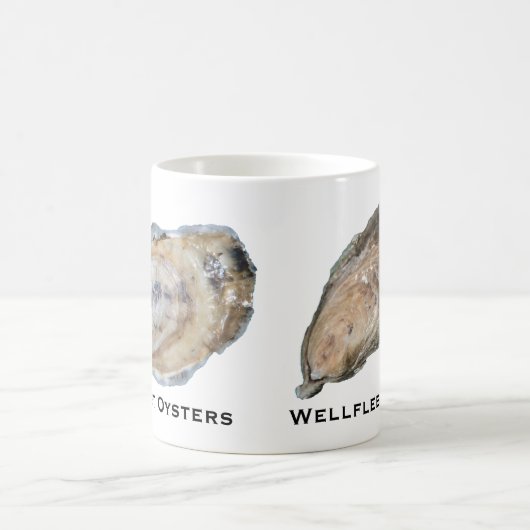 Austern-Tasse - Entwürfe A u. D Kaffeetasse (Mittel)