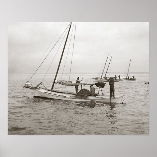 Austernboote, 1903. Vintage-Foto Poster (Vorne)
