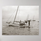 Austernboote, 1903. Vintages Foto Poster (Vorne)