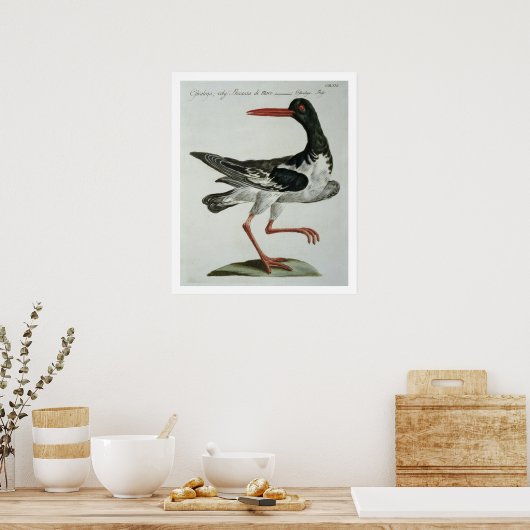 Austernfänger, c.1767-76 (handfarbene Gravur) Poster (Küche)