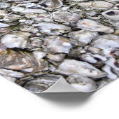 Austernfische, Apalachicola, Florida Poster (Ecke)