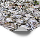 Austernfische, Apalachicola, Florida Poster (Ecke)