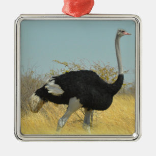 Austernfischer beim Laufen Ornament Aus Metall
