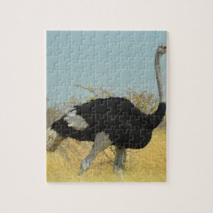 Austernfischer beim Laufen Puzzle
