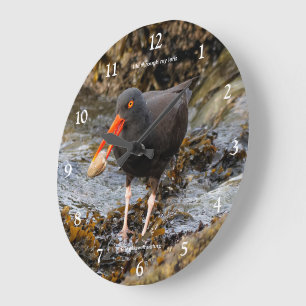 Austernfischer-Watvogel fischt am Strand Große Wanduhr