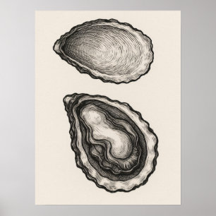 Austernschalen-Minimalist-Küsten-Skizzen-Kunstpost Poster