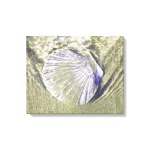 Austernunterwasser-Muschel