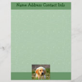 Austin das goldene Labrador Briefkopf (Vorderseite)