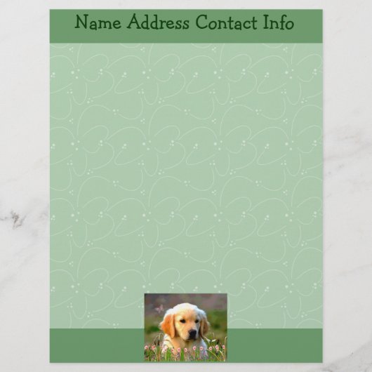 Austin das goldene Labrador Briefkopf (Vorderseite)