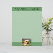 Austin das goldene Labrador Briefkopf (Stehend Vorderseite)