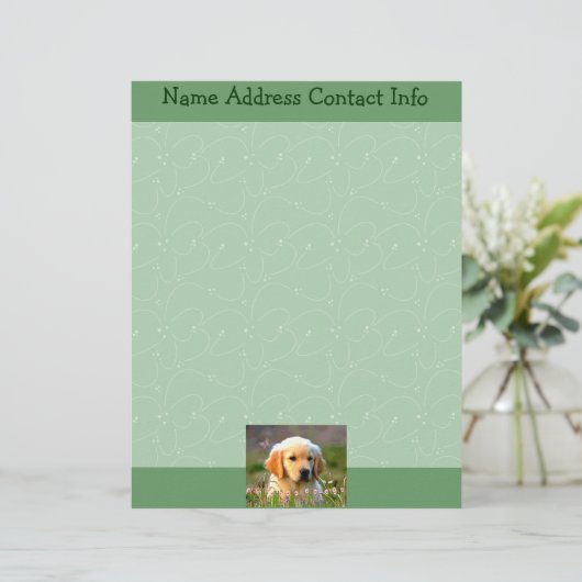 Austin das goldene Labrador Briefkopf (Stehend Vorderseite)